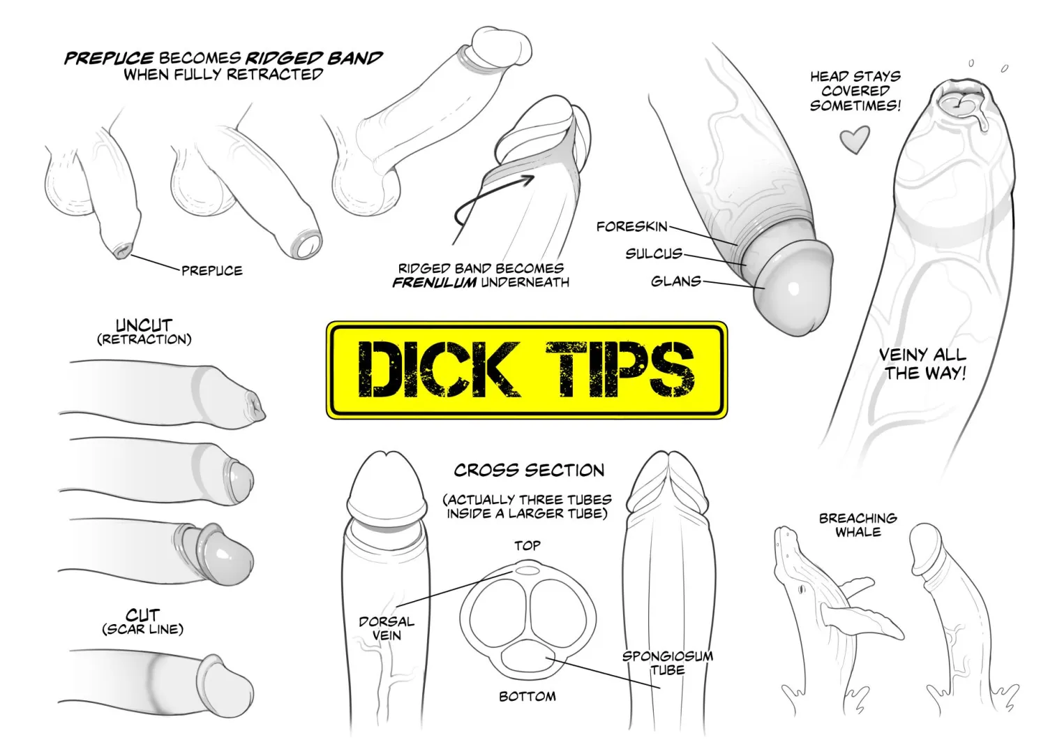 Just the tips by erotibot_art posted by Incubusphantom