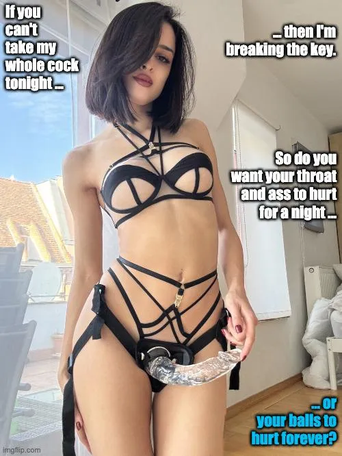 Just tonight or ... posted by ZinguBing