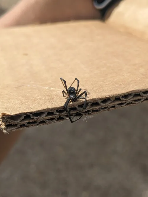 Just want to put out there. I definitely do love chubbier woman. by Resident-Jellyfish-3