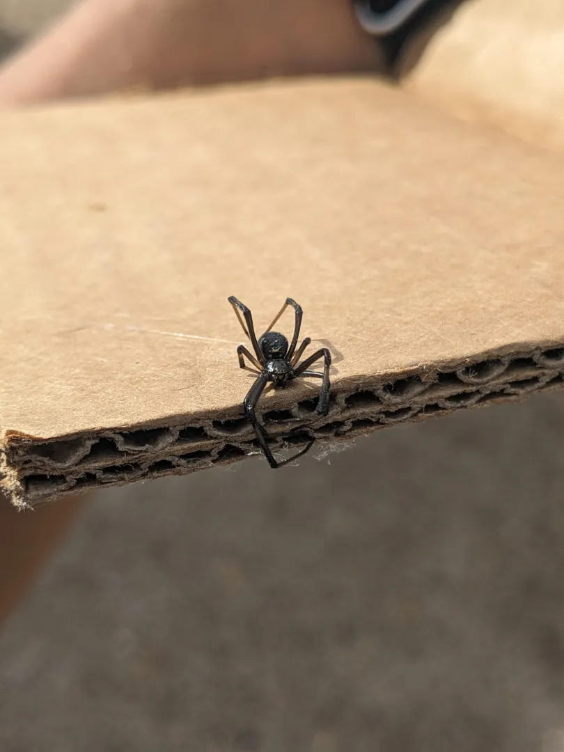 Just want to put out there. I definitely do love chubbier woman. posted by Resident-Jellyfish-3