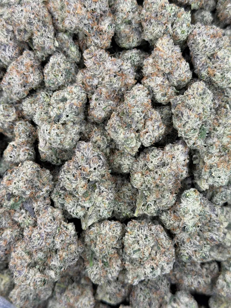 Kali in houston posted by Process-Entire