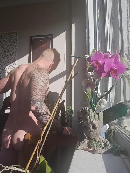 Keep 'em watered. by PeakAndCheeks