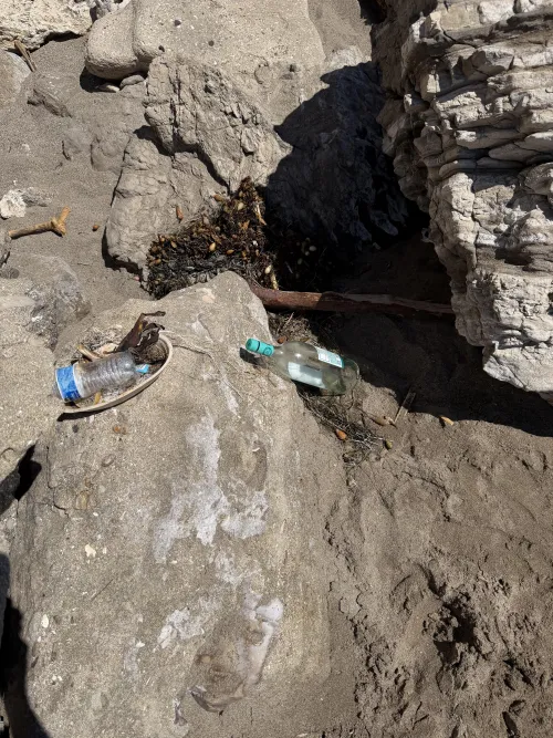 Keep Pirates Cove Clean by ProblemLegitimate345