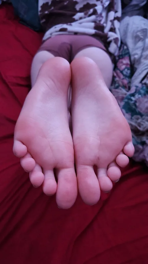 Kiss My Prone Soles  by UkranianFeetPrincess
