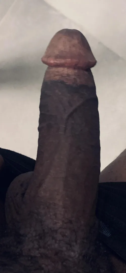 Köln ️ by Miserable_Seesaw1870