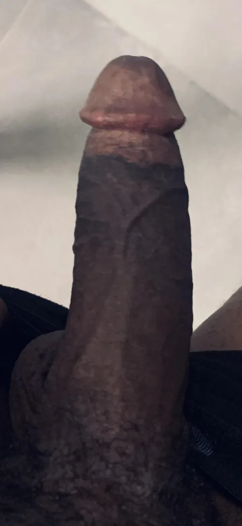 Köln ️ posted by Miserable_Seesaw1870