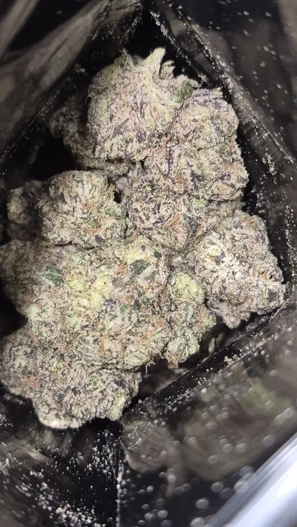 LA PUSH POP posted by REEEUPPP