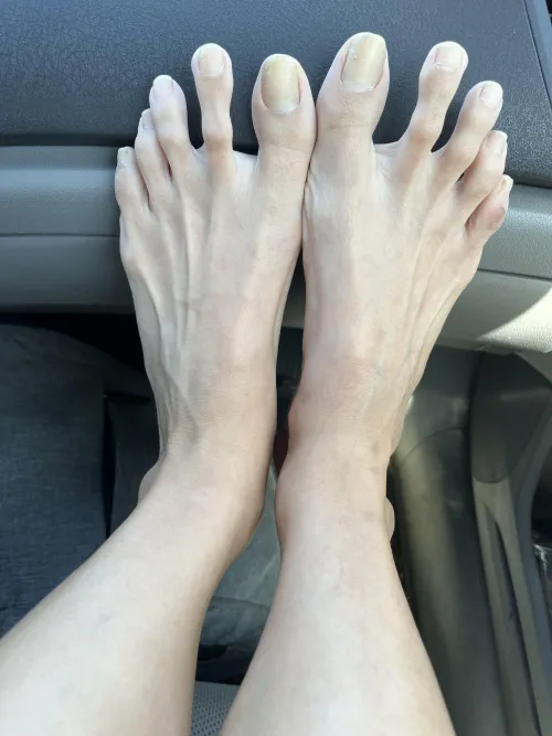 Las prefieres con o sin esmalte? by diosadovinho