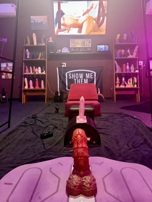 Last night’s line up  by hotnflorida