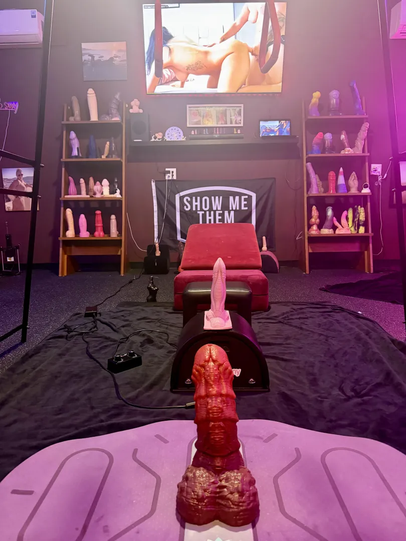 Last night’s line up  posted by hotnflorida