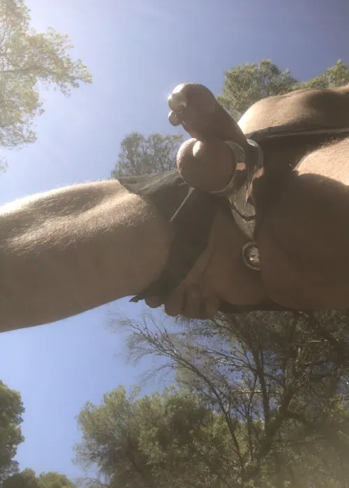 Last summer, on a walk through the forest. by truitrui