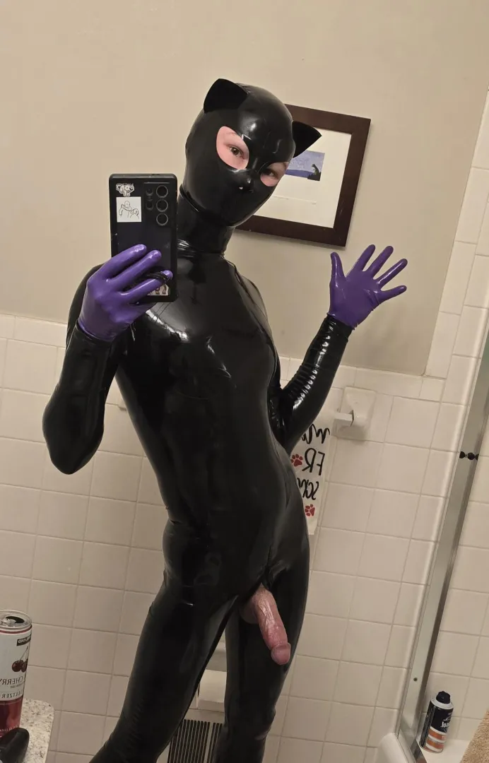 Latex cat is the ideal way to be posted by MilesMeBoy