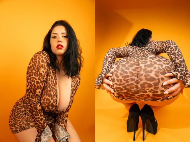 Latinas face and ass cards never decline by StyxHips