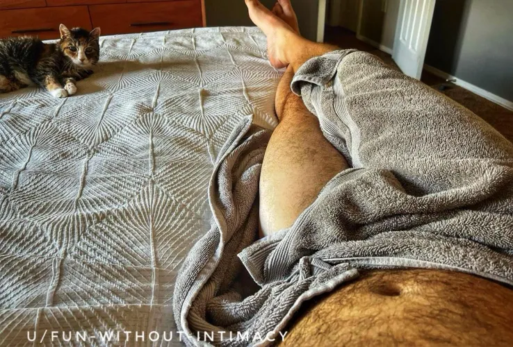 Lay around kind of day… by Fun-Without-Intimacy