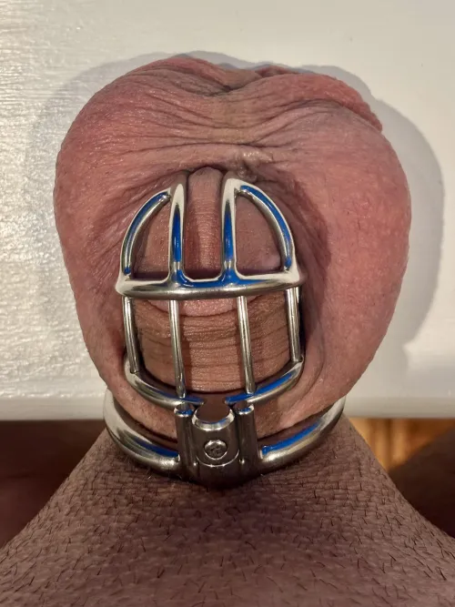 Laying it all out on the Table. ;) by CagedCannoli