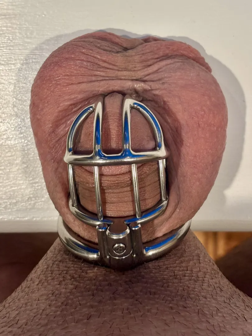 Laying it all out on the Table. ;) posted by CagedCannoli