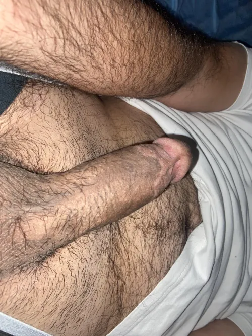 Laying on bed horny… by EdgePrimary806