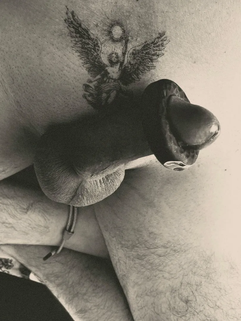 Lazy afternoon edging. posted by immacculate