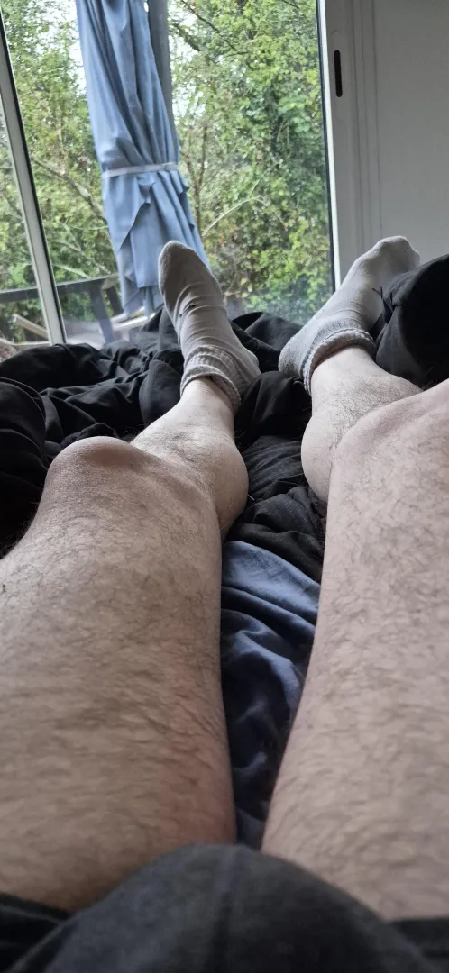 Lazy day, socks still on. posted by HairySockDad