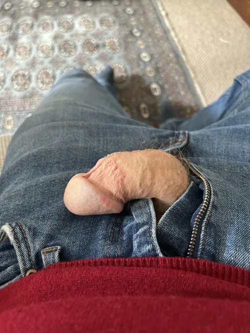 Lazy Sunday... by Less-Willingness9365