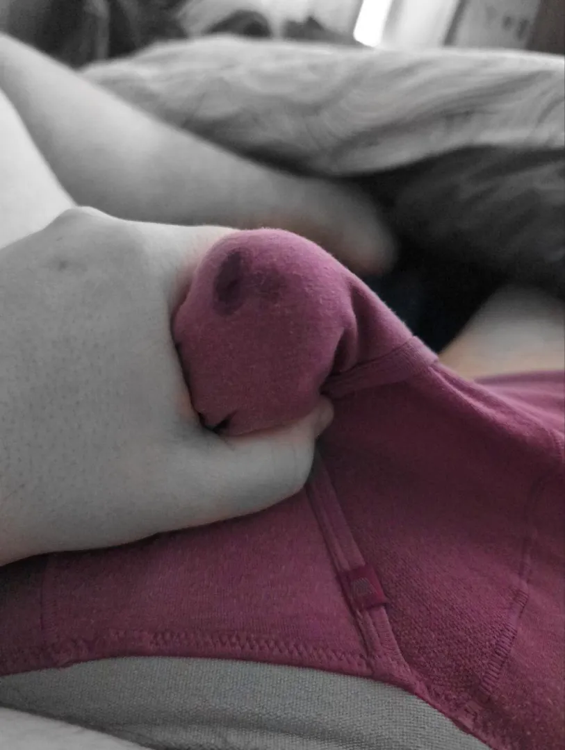 Leaky lazy morning posted by PupRaidat