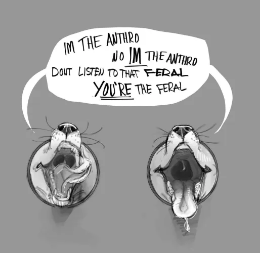 Left or right? by DogMan_Chemistry_333