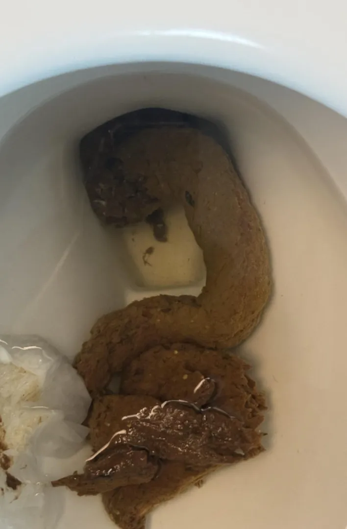 Left this one in the toilet for you to be surprised with ;) posted by LooLaGaines