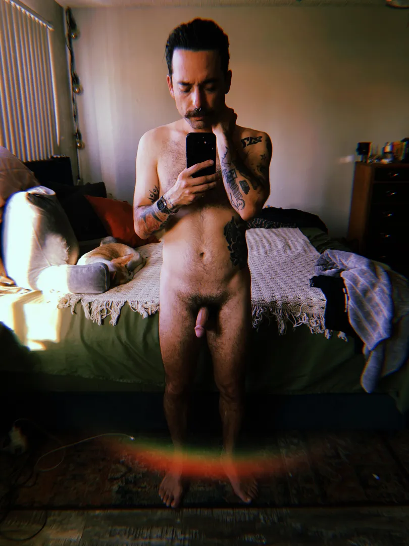 lens flare posted by rzcinlbc