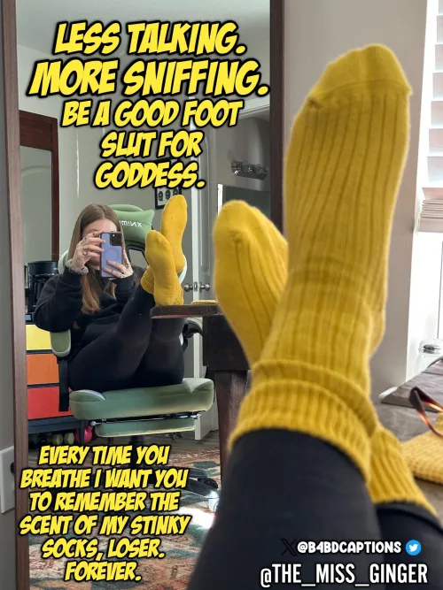 Less talking, More sniffing. by B4BD