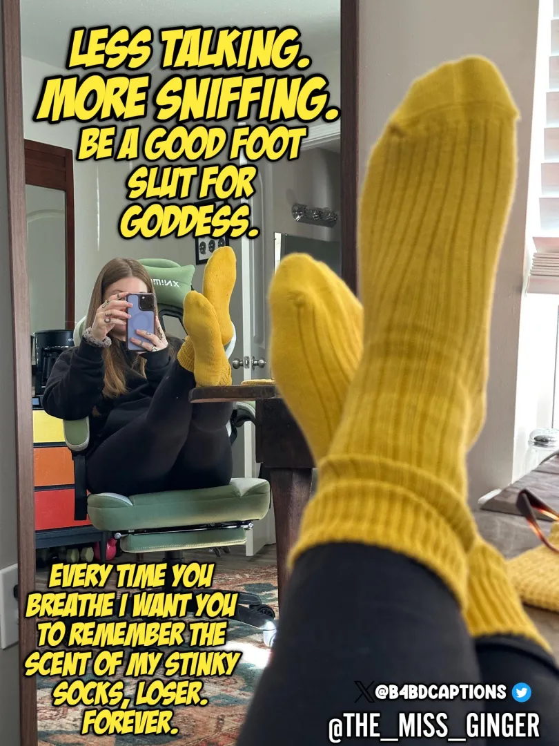 Less talking, More sniffing. posted by B4BD