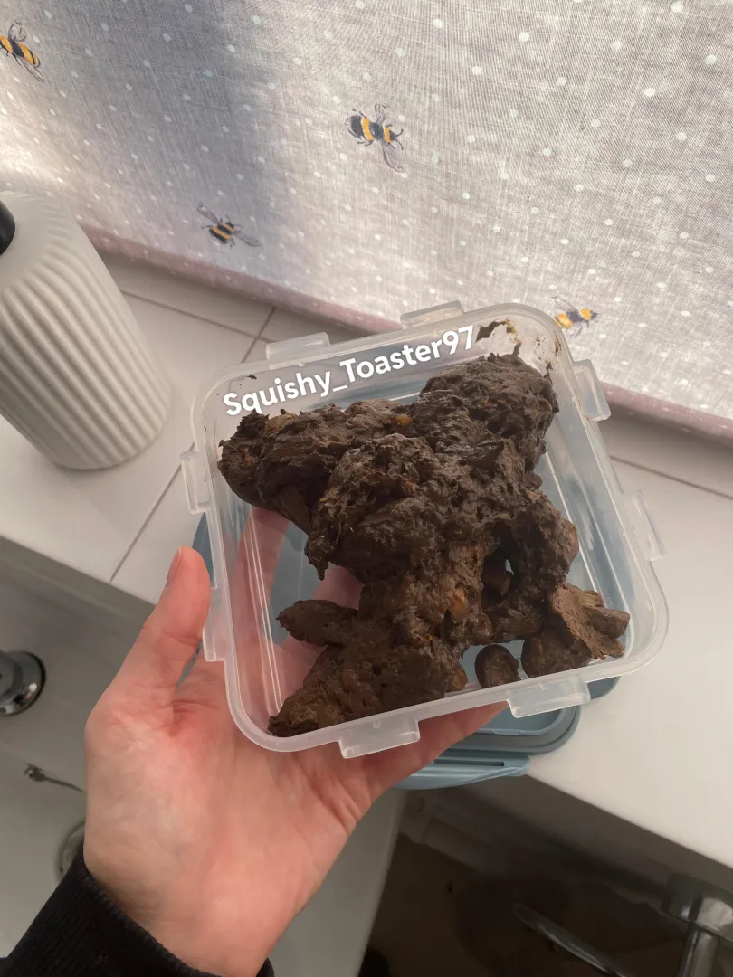 Let’s celebrate Valentine’s Day in the best way  10% off my toilet google drive today only ❤️ Over 50 scat videos  ✨ LIFETIME ACCESS - £72 ✨ posted by Squishy_Toaster97