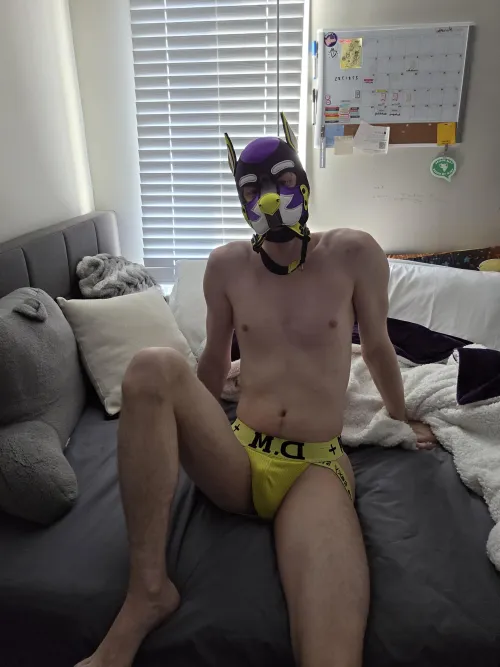 Let's go for a walk. by PupArthur