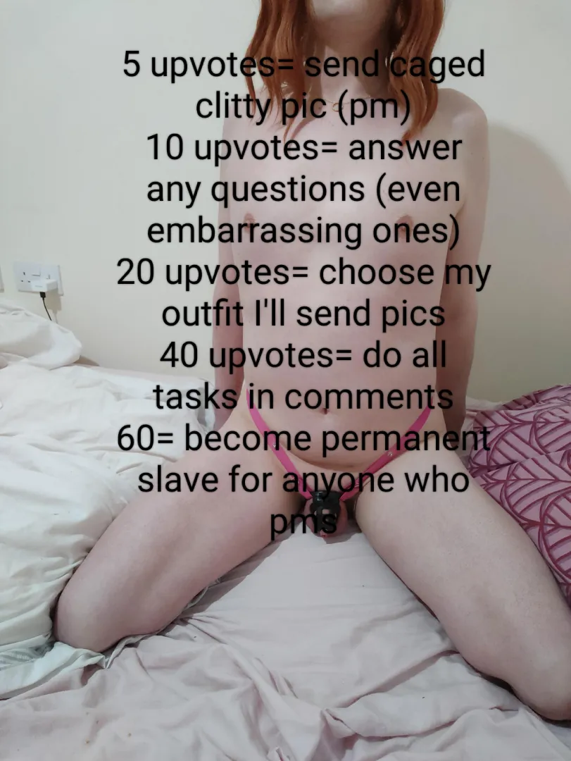 Let's see how this goes. I kinda want it to go all the way  posted by amitransgirl