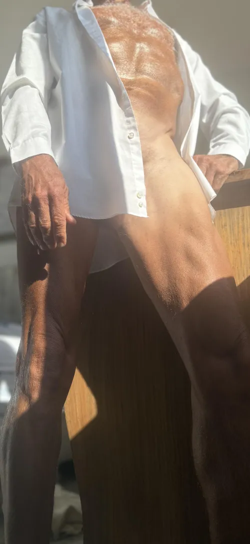 Let’s work from home today (57) by Jazzlike-Motor2299