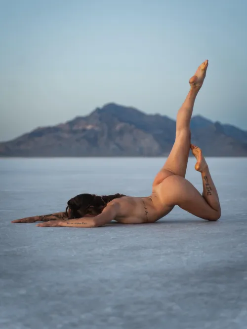 life elevated by theuntamedpixie