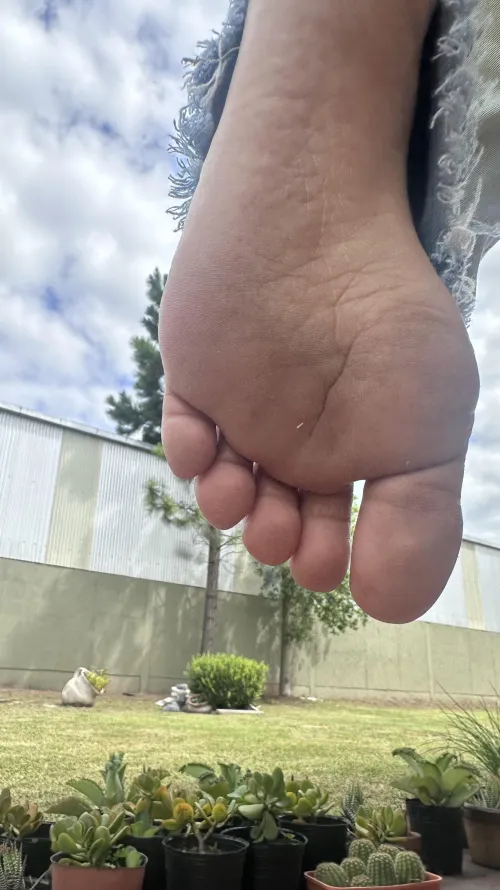 like a candy by Sophie_100usd