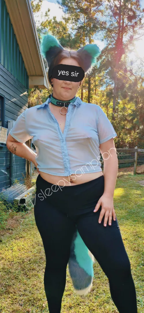 Like a wild animal by sleepysampson