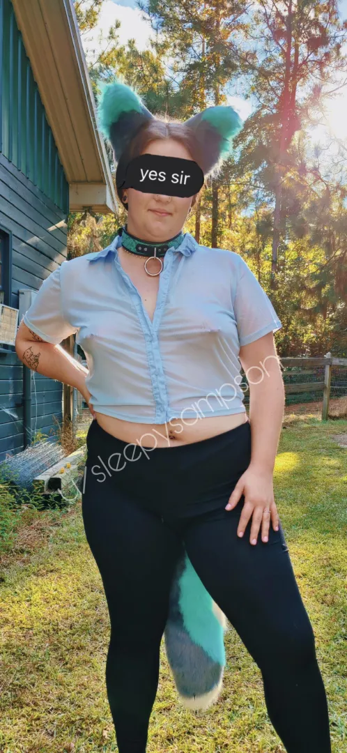 Like a wild animal posted by sleepysampson