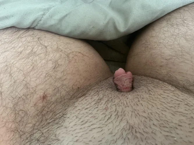 Like my pumped dick? by guttmutt_xxx