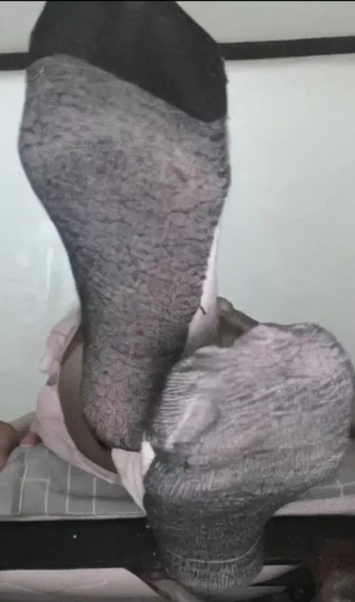 Like my socks? by Noumena102