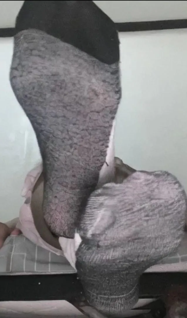 Like my socks? posted by Noumena102