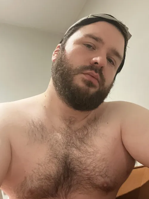 Like to get my hairy chest rubbed until I moan like a needy bear  by hdw9hdvfj97s