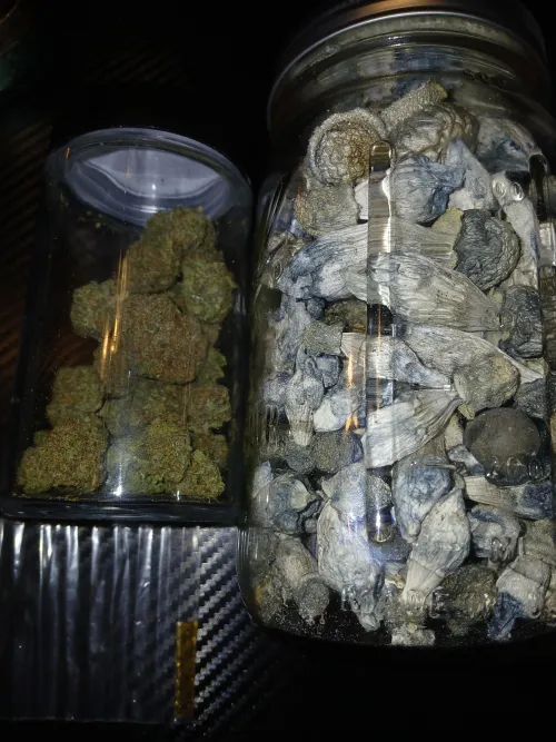 Lil stash update by IllIce7063