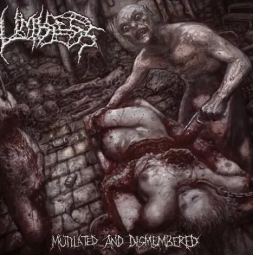 Limbless - Mutilated and Dismembered by CarAffectionate6757