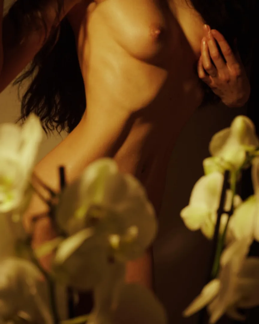 Linartica posted by Linartica