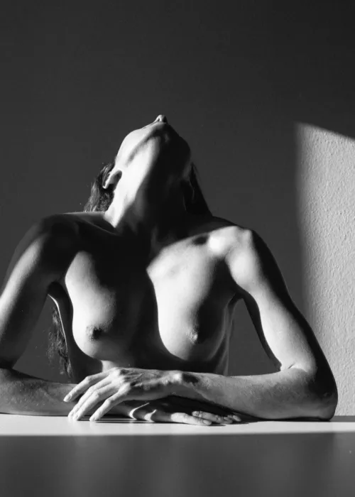 Linartica by Linartica