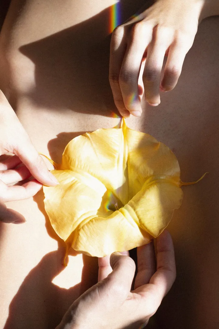 Link in bio posted by sensualminimal