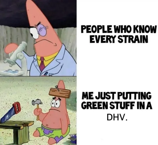 Literally me by ExtraordinaryNerd