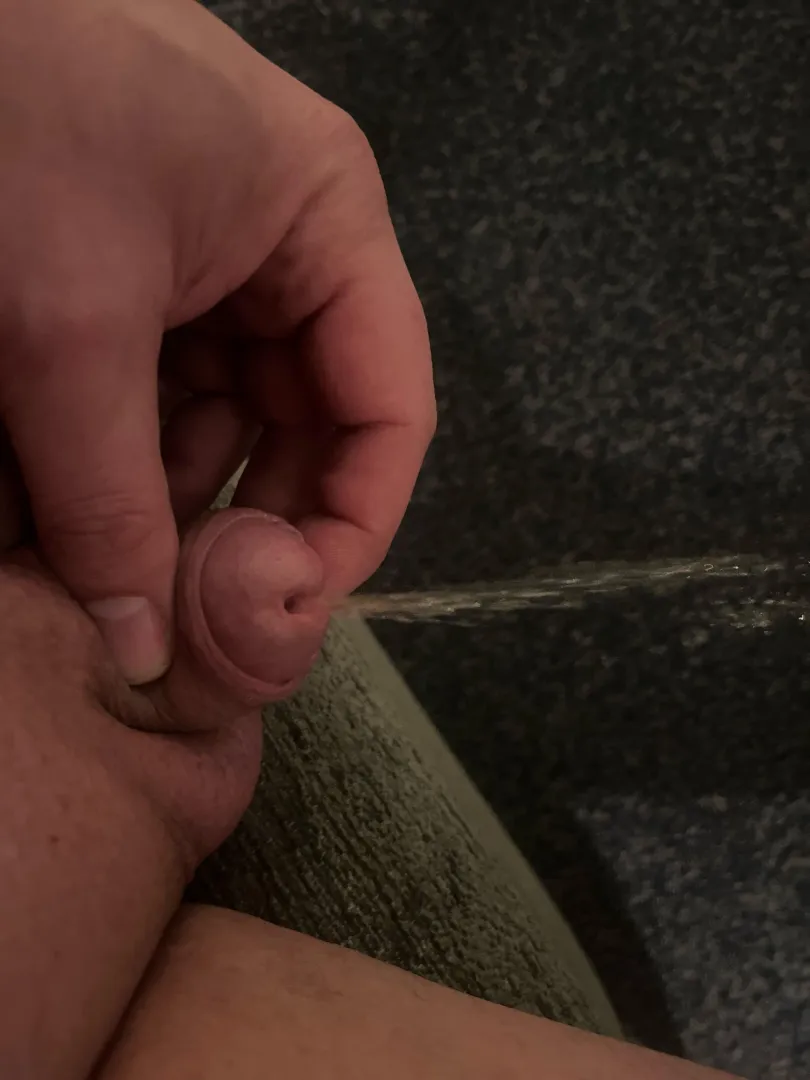 Little button peeing on the floor  posted by TightTap6516