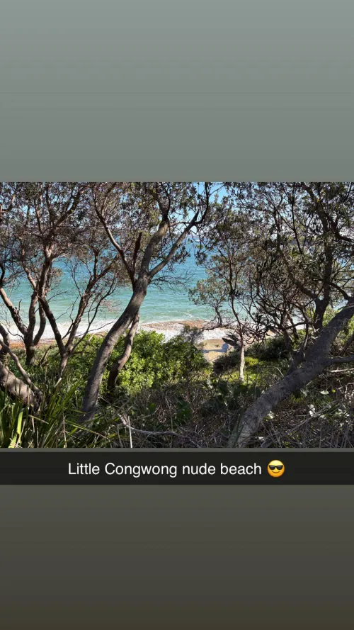 Little Congwong beach Sydney by nudiecouchsurfer